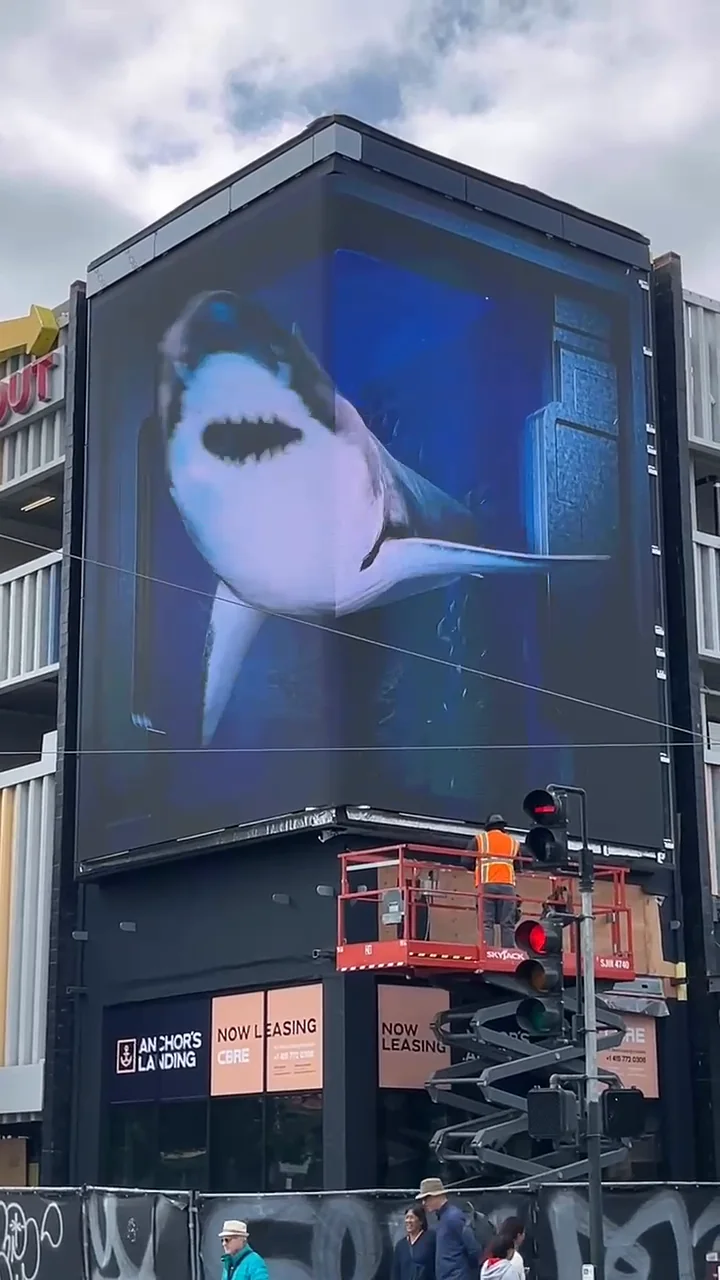 A great white shark rendered anamorphically on the corner LED volume, appearing to swim out of the building toward the street