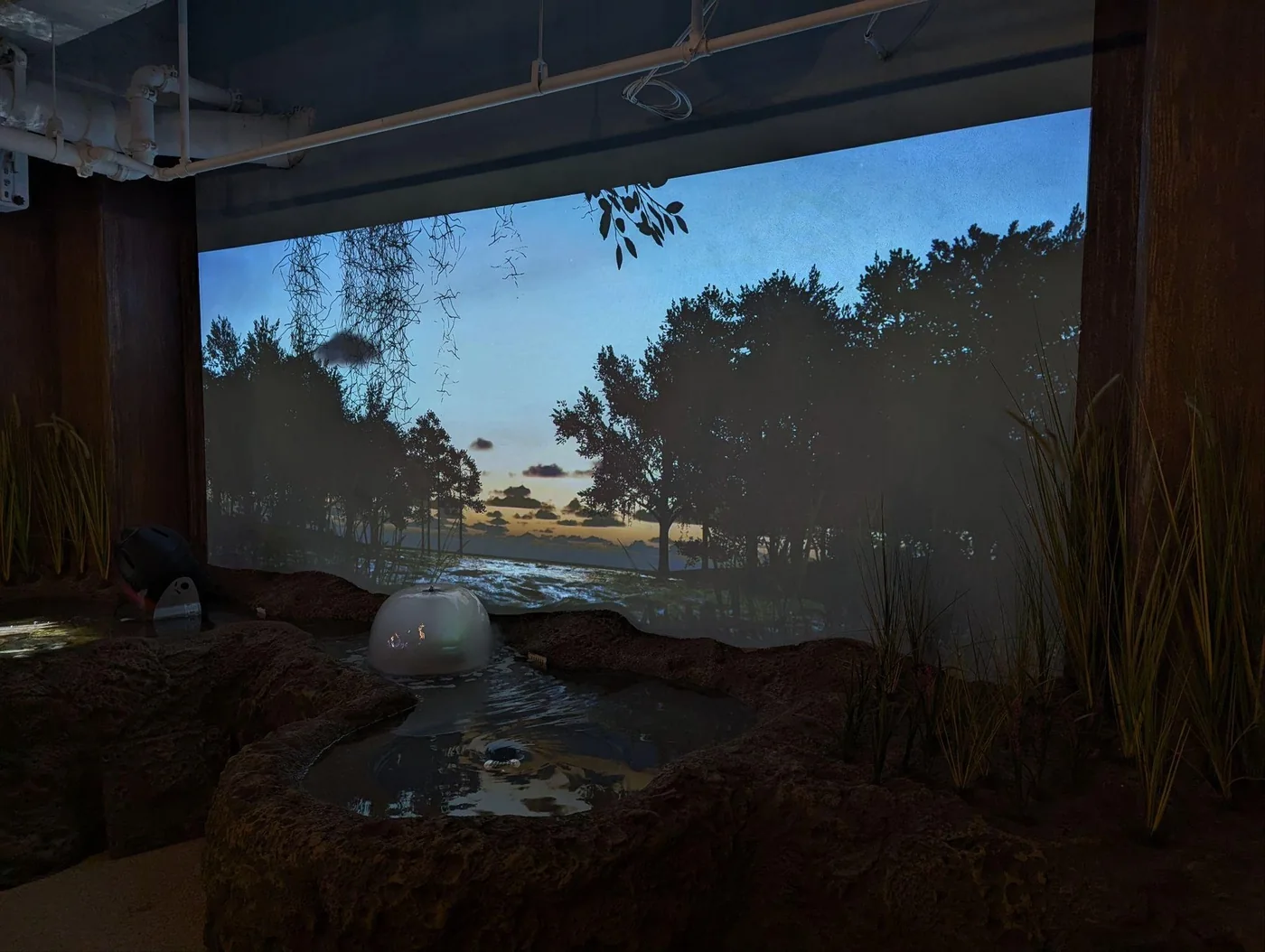 The same exhibit at dusk: a treeline and sunset projected across the back wall, the pool dark and still