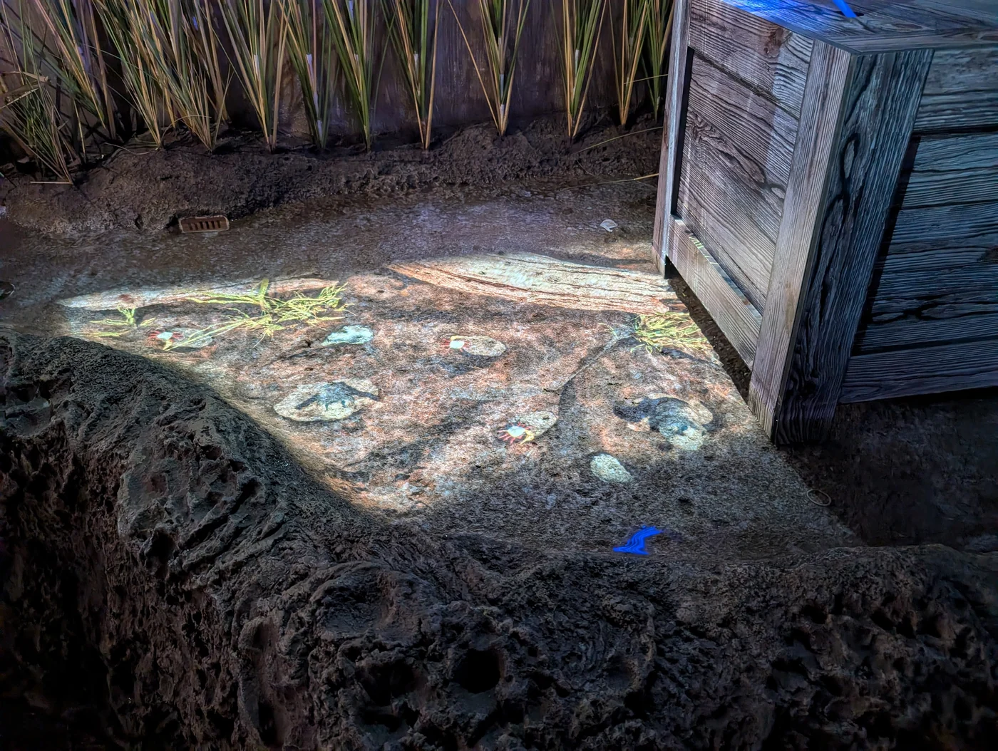 Another of the pools built as a shallow mudflat, with fiddler crabs projected across the sculpted bank beside a weathered timber structure